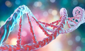 AP DNA Nasıl Çalışır: Santral Dogma