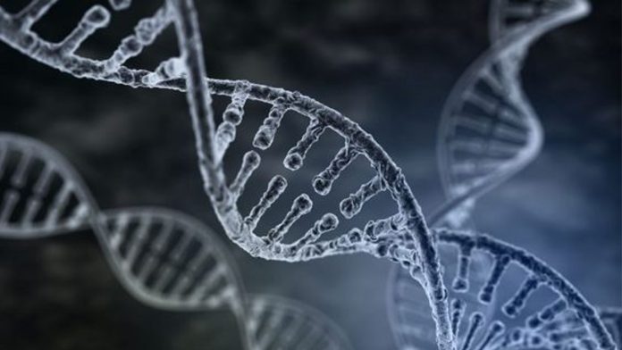 Yaşam Tarzımız Epigenetik Mekanizmamızı Nasıl Etkiliyor?